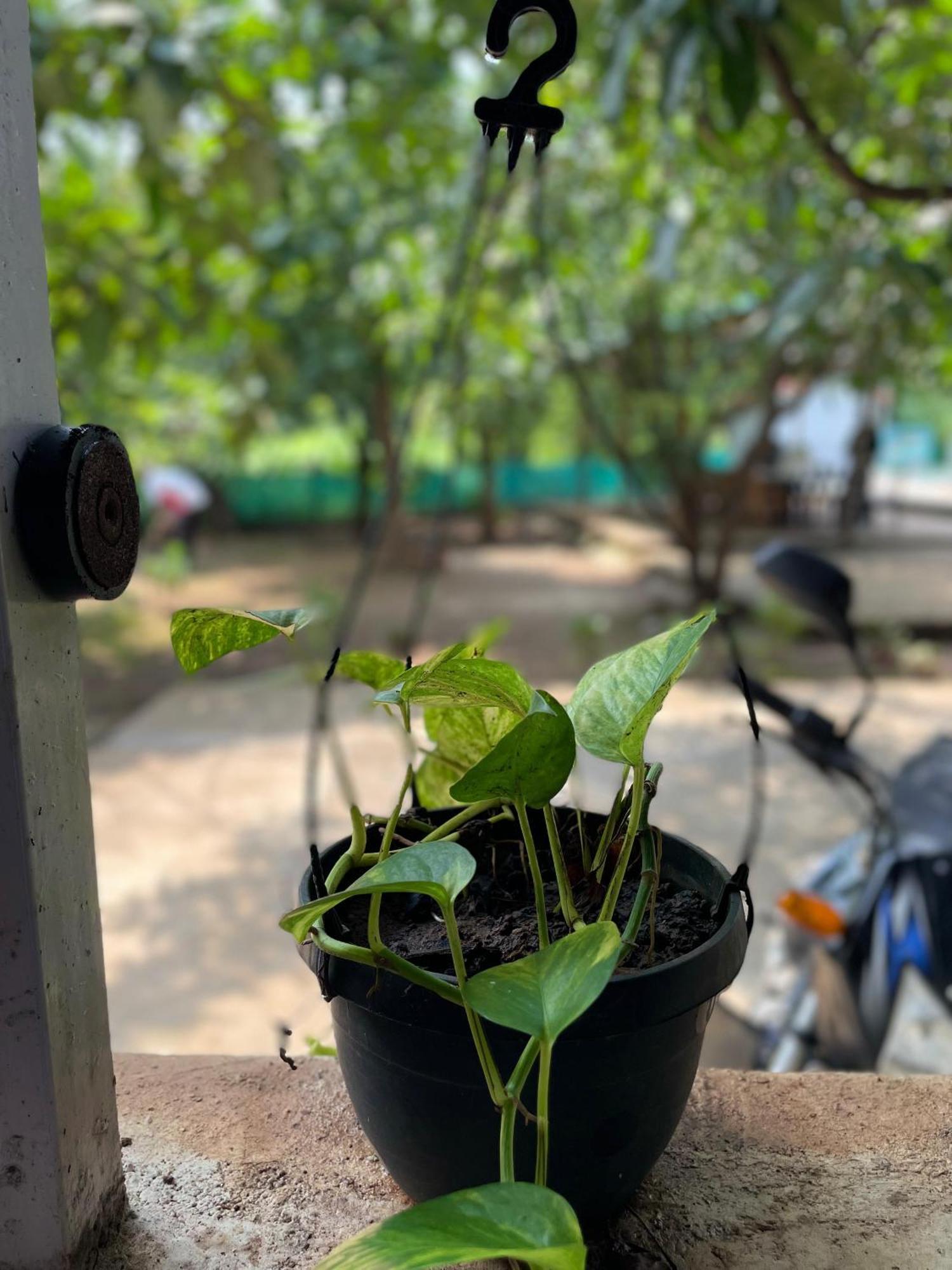 Riverland Farm And Resort Karjat Bagian luar foto